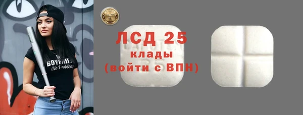 ПСИЛОЦИБИНОВЫЕ ГРИБЫ Лихославль