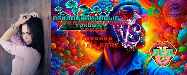 spice Лиски