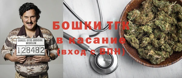 ПСИЛОЦИБИНОВЫЕ ГРИБЫ Лихославль