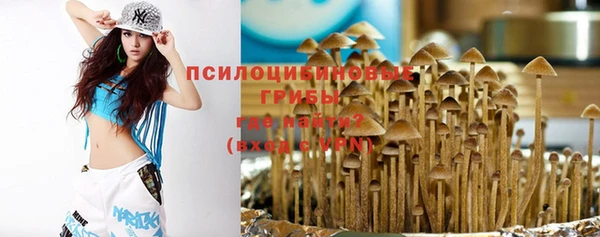 ПСИЛОЦИБИНОВЫЕ ГРИБЫ Лихославль